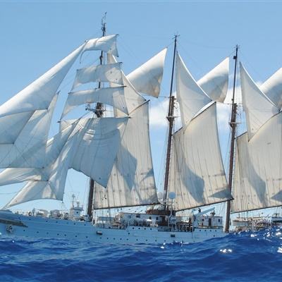 半岛综合APP截图